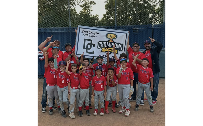 2025 Rookie Division Champions